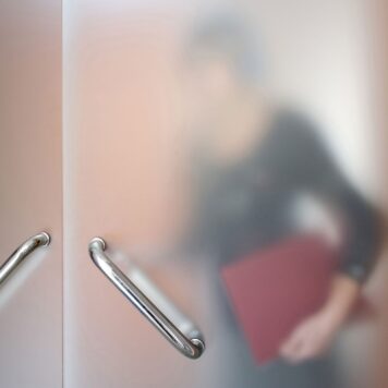 Frosted Window Film
